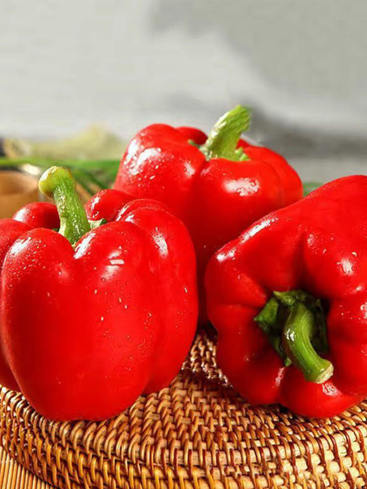 Red Lantern Sweet Pepper