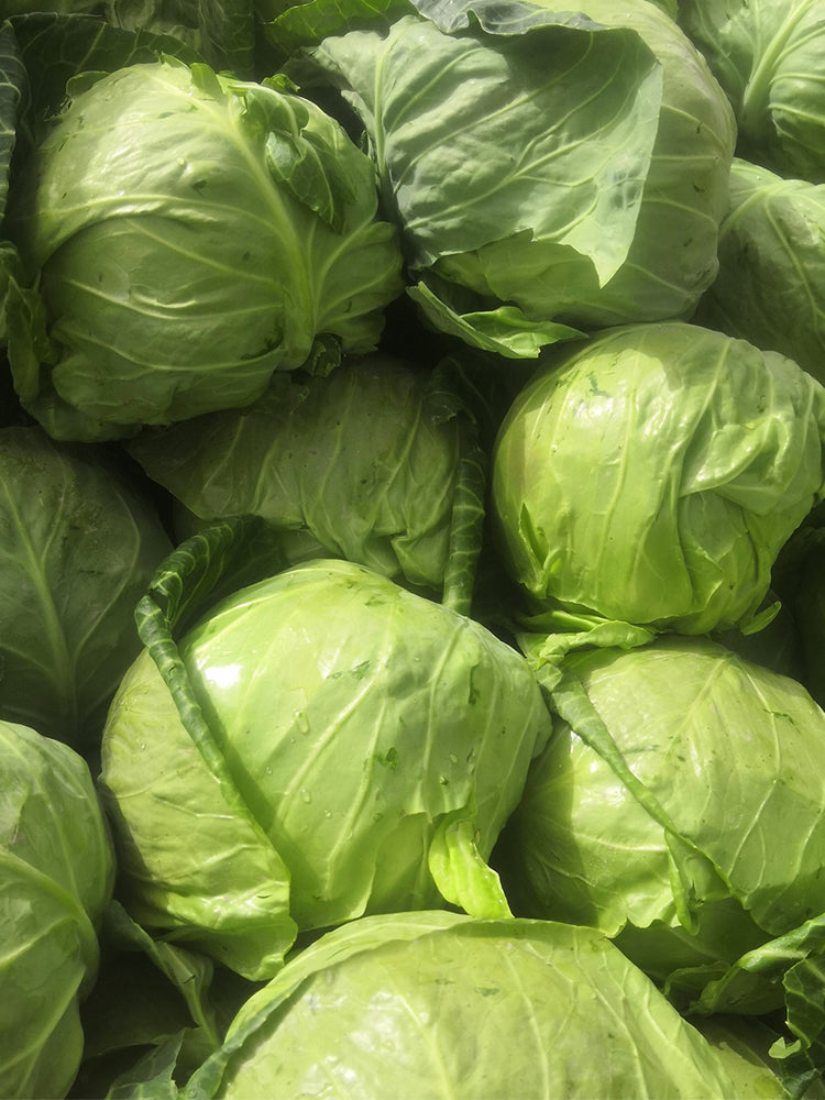 Xingyou Jingfeng No.1 Cabbage