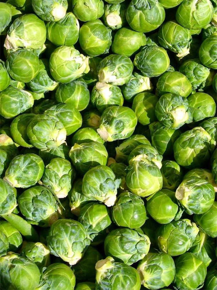 Brussels Sprouts