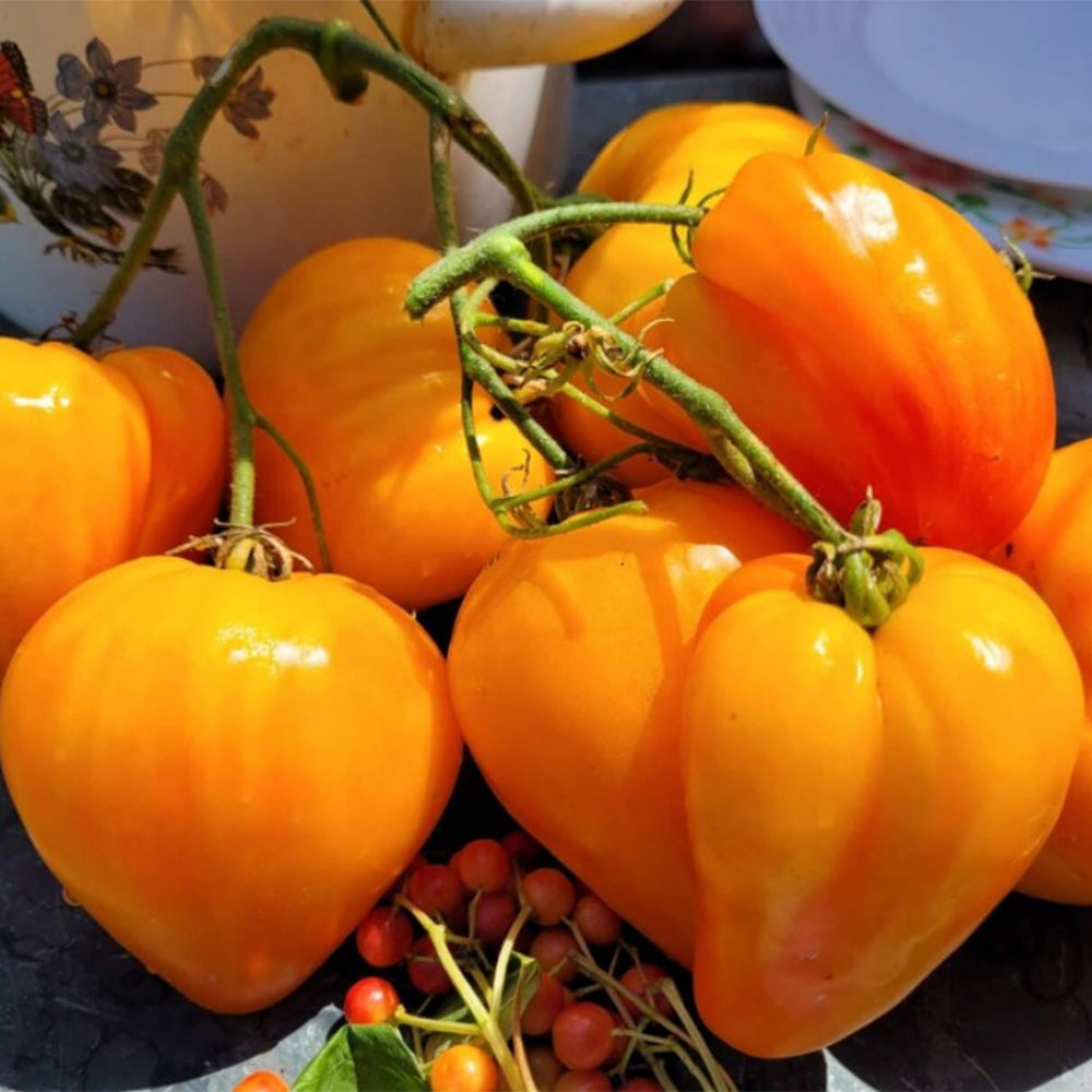 825 Esk Crystal Tomato