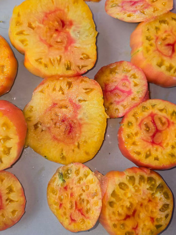 1013 Cherokee Purple Bicolor Tomato