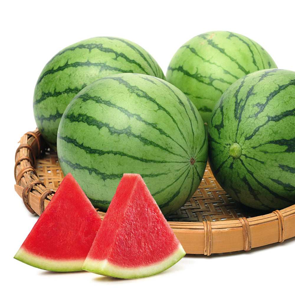 5 Bags (50 Seeds / Pack) of 'Apis Forea' Series Bonsai Watermelon Seeds