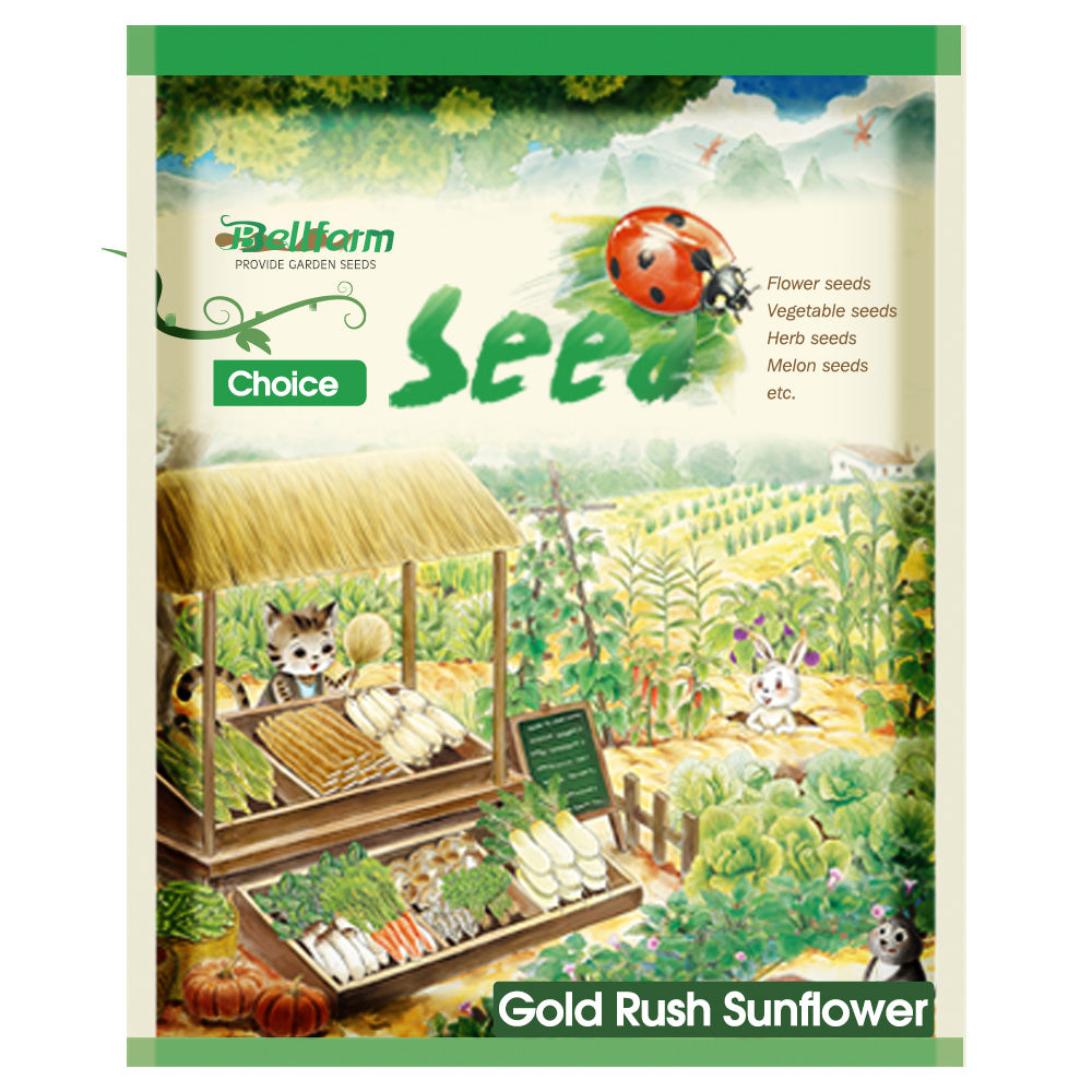 Gold Rush Sunflower Seeds (120cm)