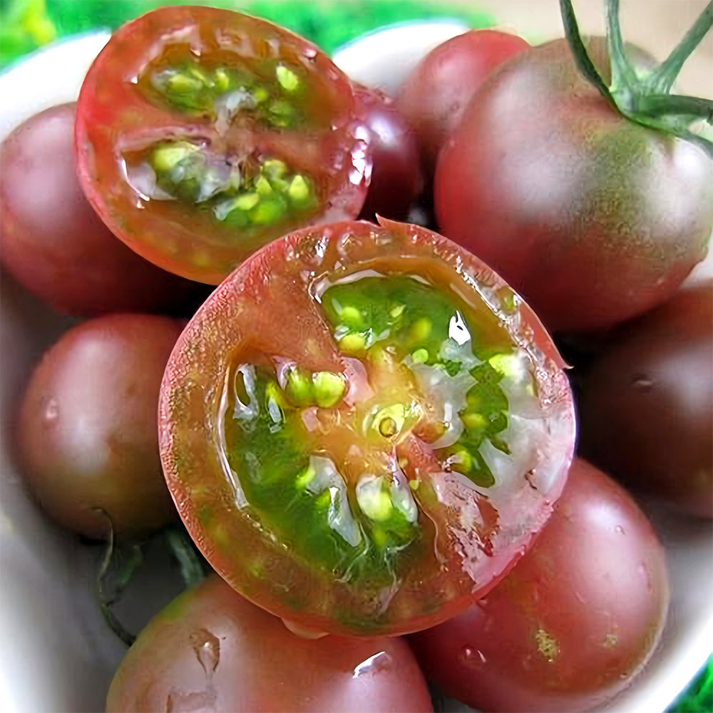 Sweets from Your Garden: 5 Bags (100 Seeds / Bag) of 'Purple Pearl' Cherry Tomatoes