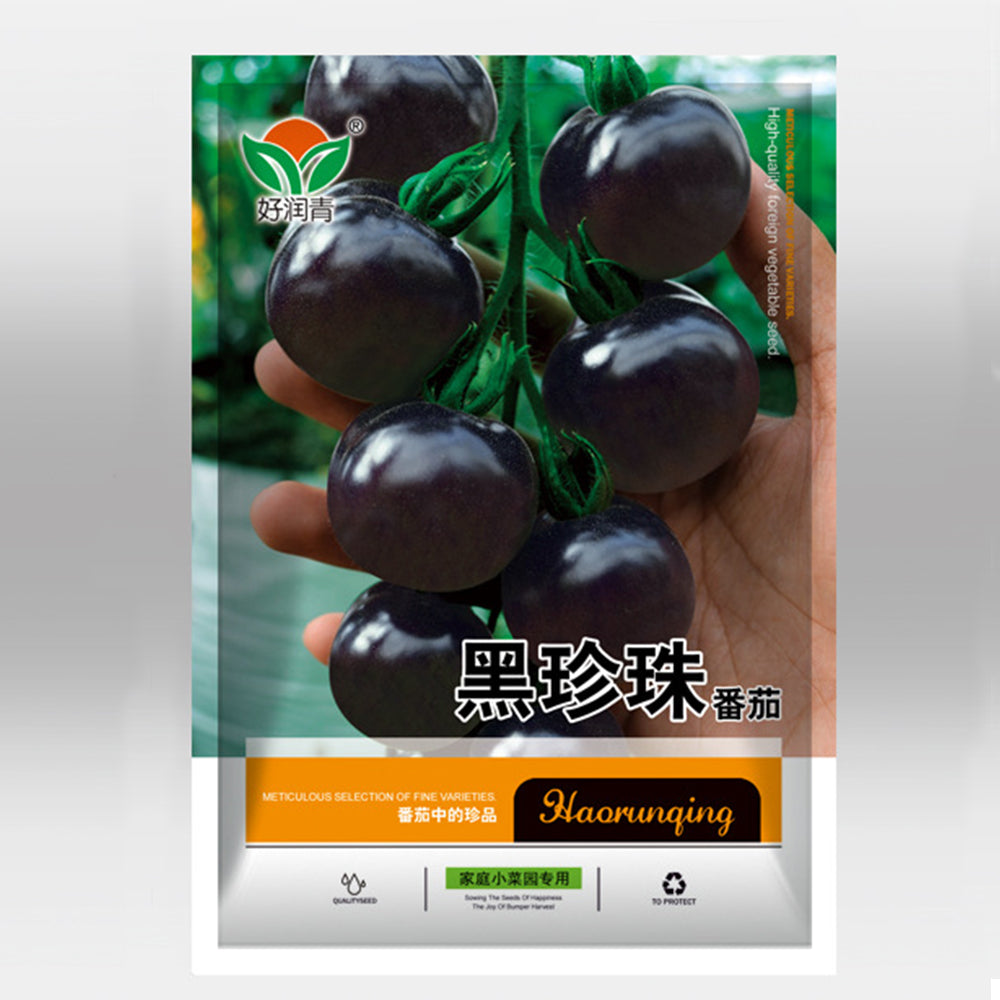Gourmet Gardening: 5 Bags of Premium 'Black Pearl' Series Black Tomato Seeds