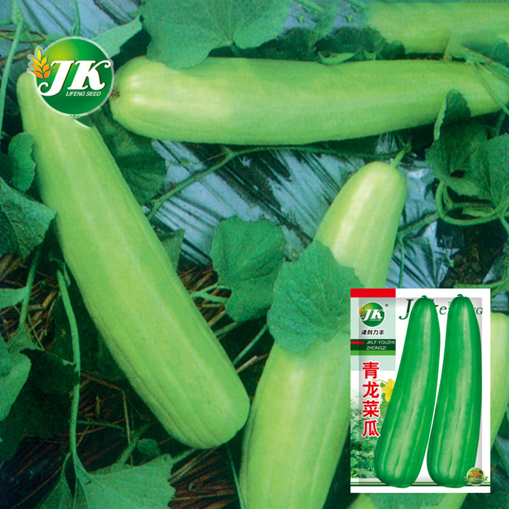 5 Bags (2g / Bag) of Qinglong Cucumber Seeds, Suitable for Raw Consumption, Pickling, and Stir-frying