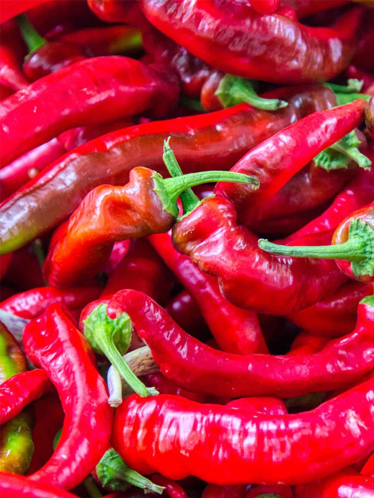 Jimmy Nardello Pepper
