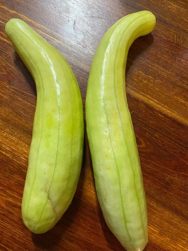 Green-veined Oriental Pickling Melons
