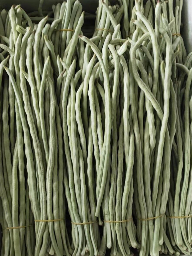 'Jiemei' Glossy White Long Bean