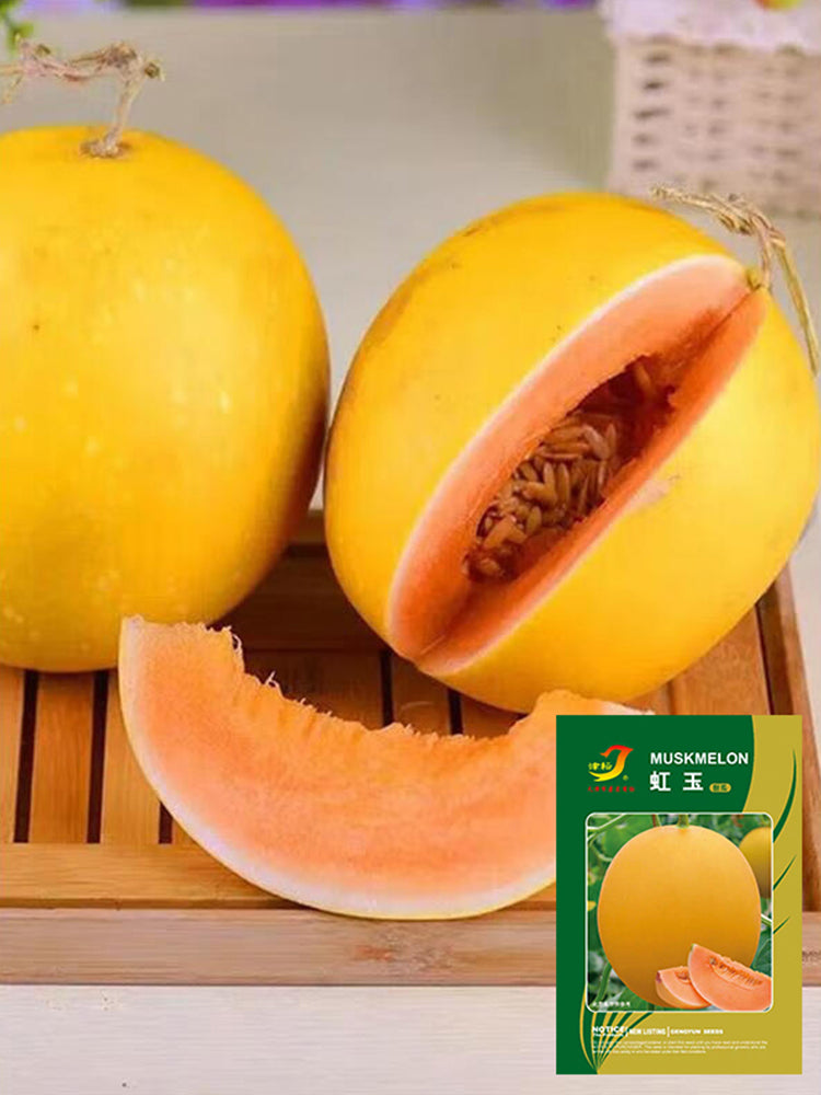Hongyu Muskmelon
