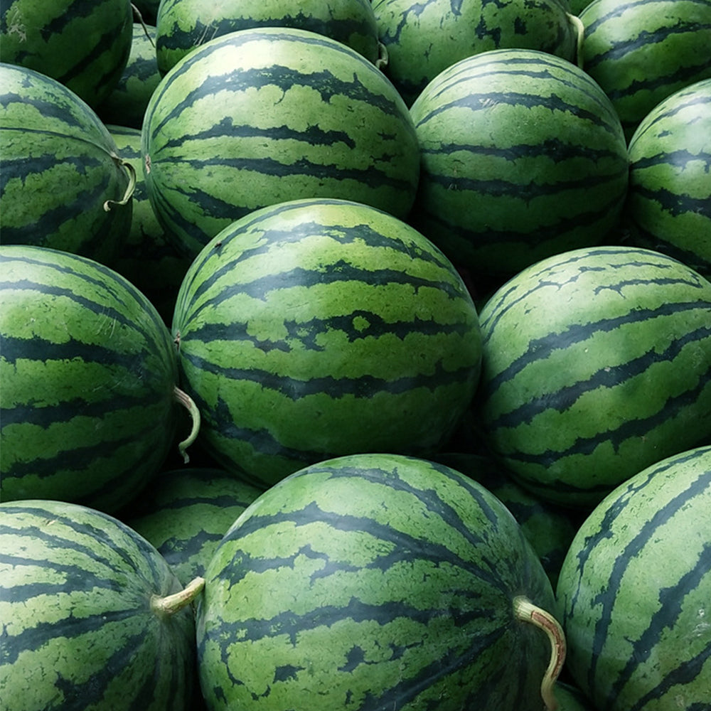 5 Bags (20 Seeds / Bag) 'Rainbow Ice Cream' Series Watermelon Seeds