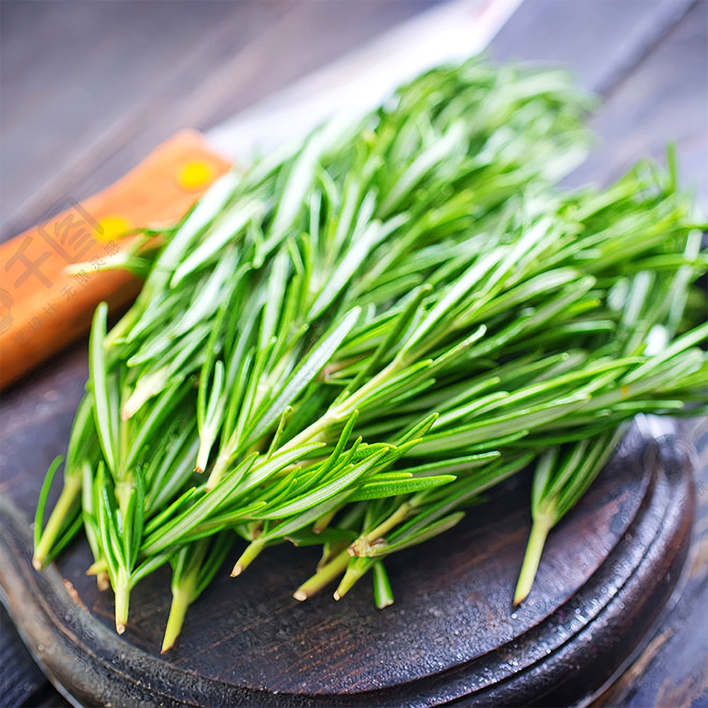 Aromatic Haven: Rosemary Seeds for Fragrant Gardens