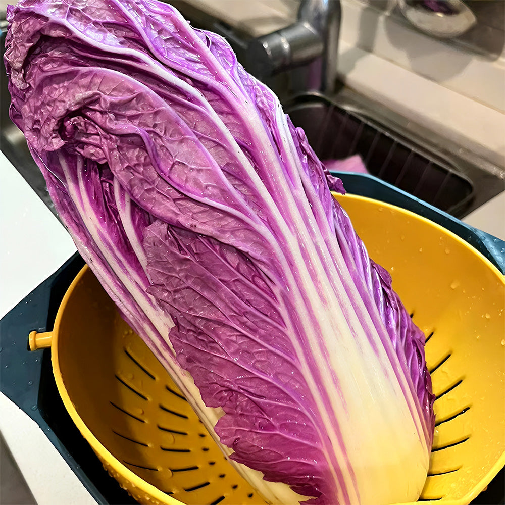 Jingyan® Red Napa Cabbage Seeds
