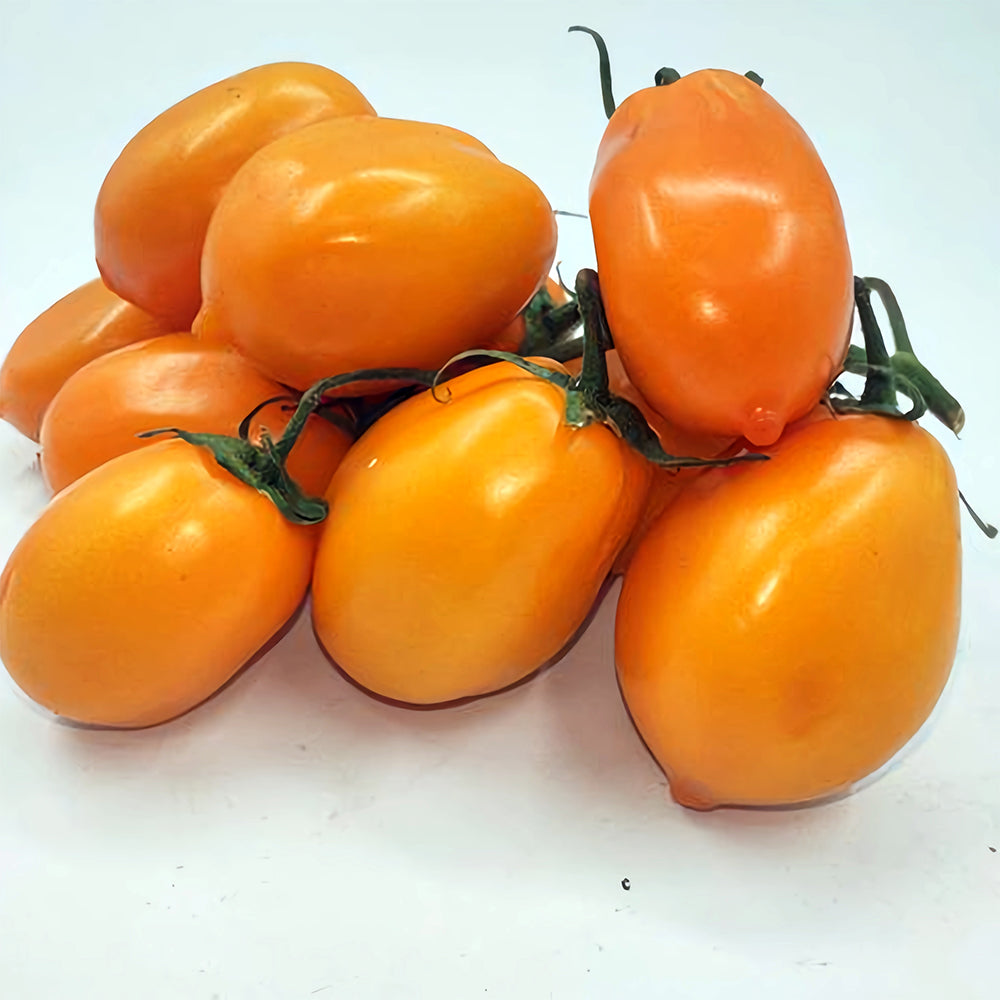 Sunshine Symphony: 5 Bags (200 Seeds/Bag) of 'Radiant Gold' Yellow Tomato Seeds