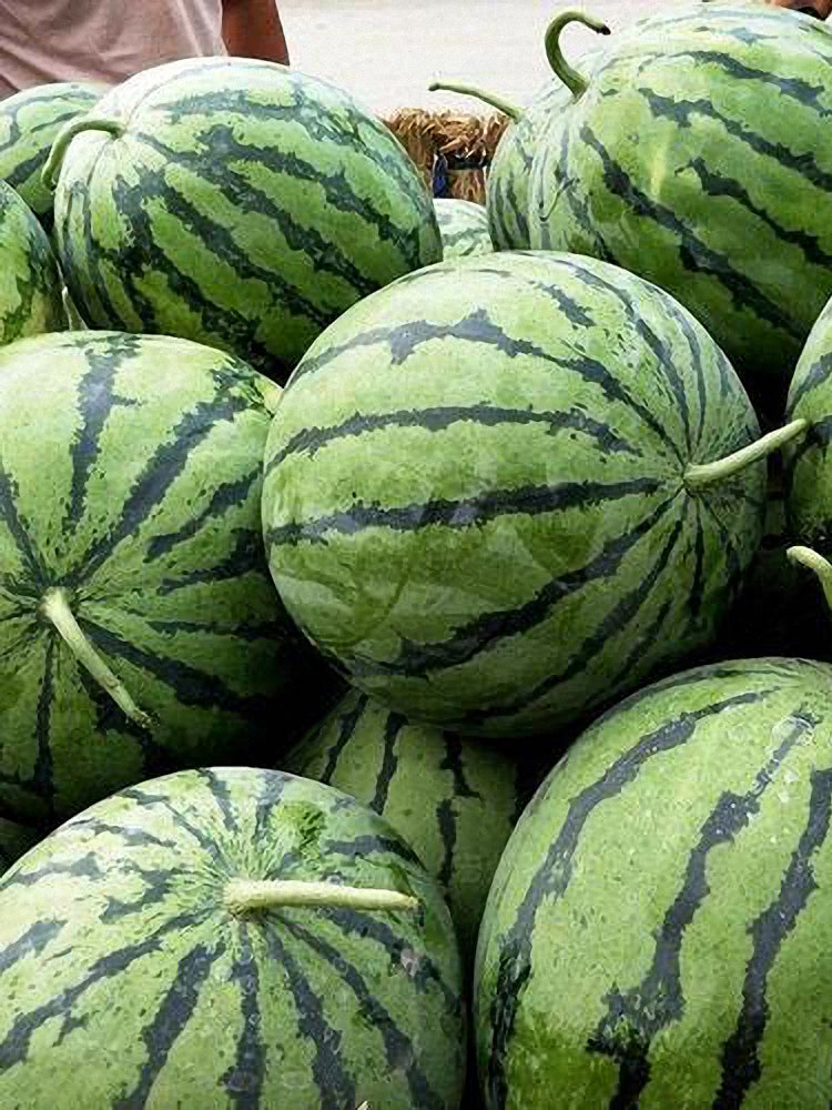 Snow Pear White Watermelon