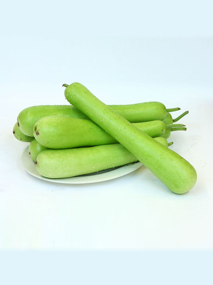 Bottle Gourd (Lagenaria siceraria)