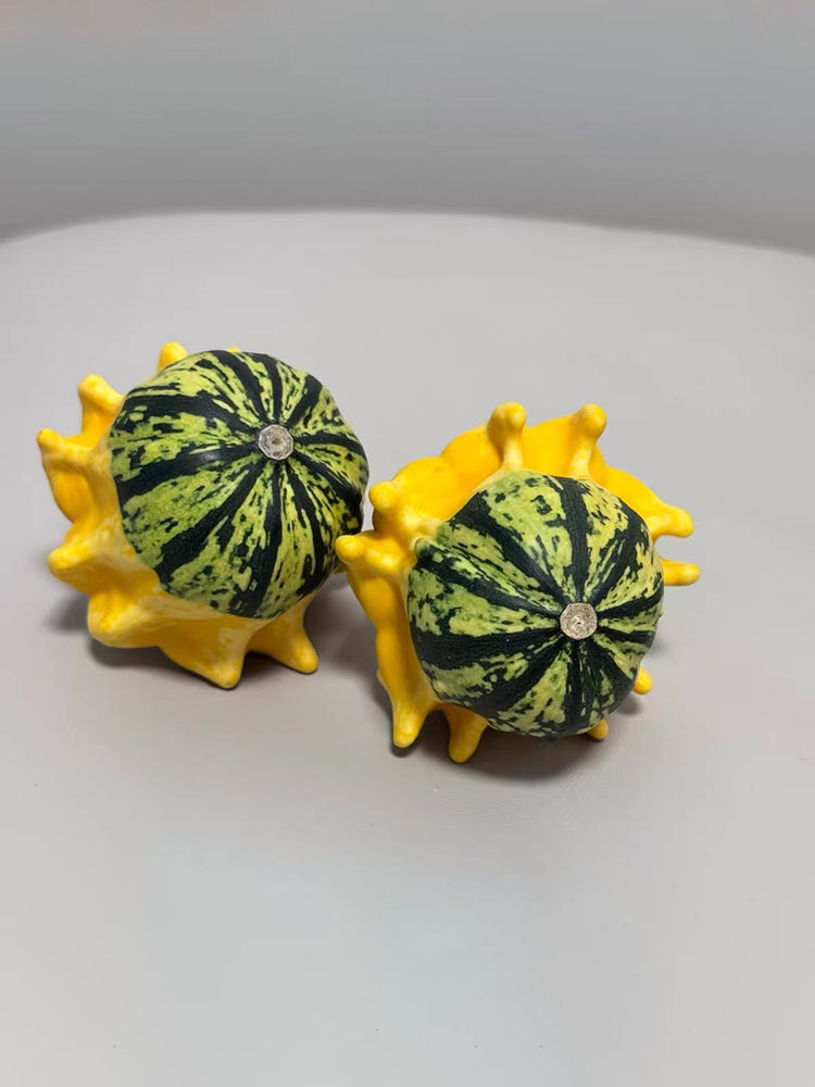 Crown of Thorns Gourd