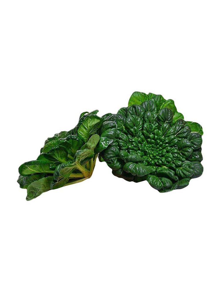 Flat Cabbage