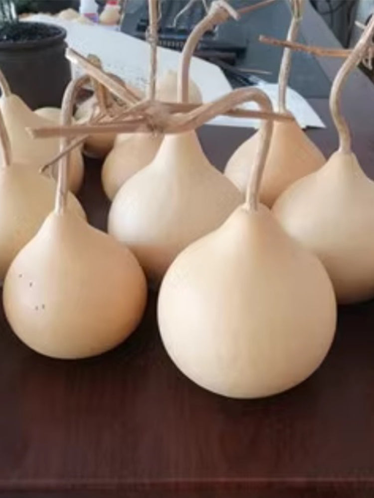 Apple-shaped Gourds