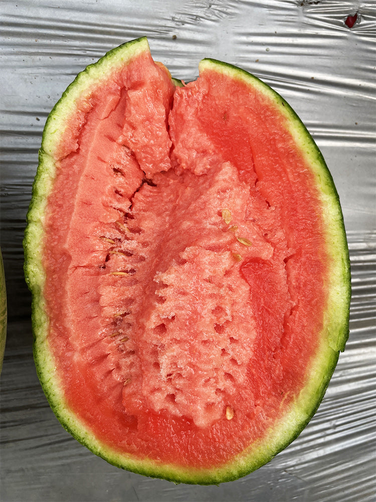 "Meihui 007" Watermelons