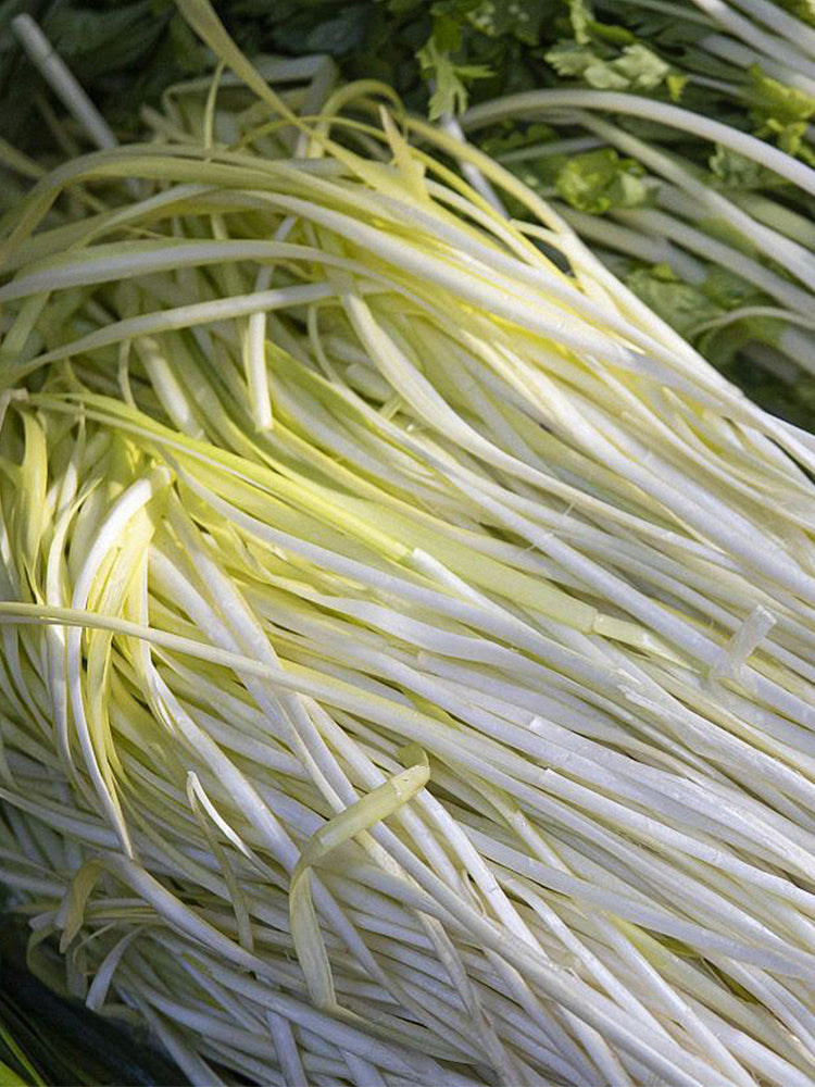 Huangxiangjiuwang Yellow Chives