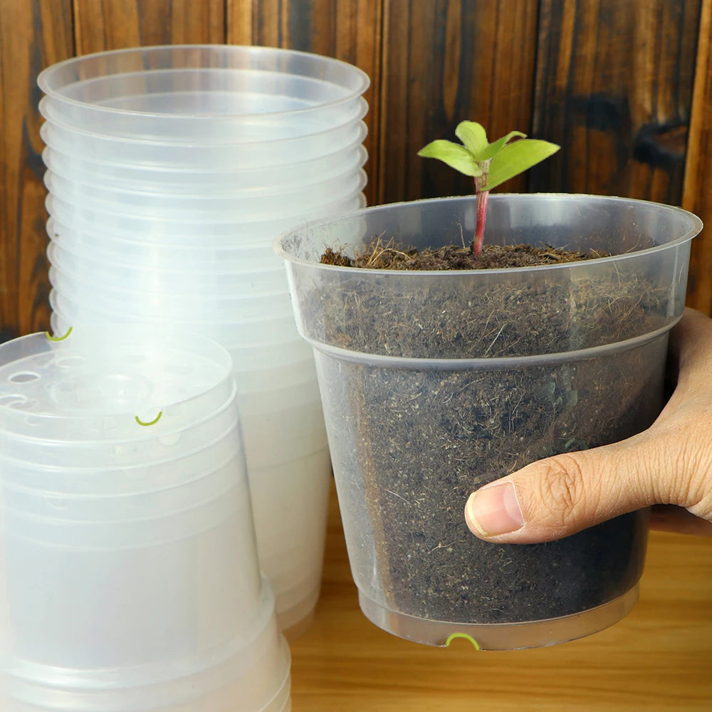 Transparent Hard Flower Pots with Holes, Pack of 10