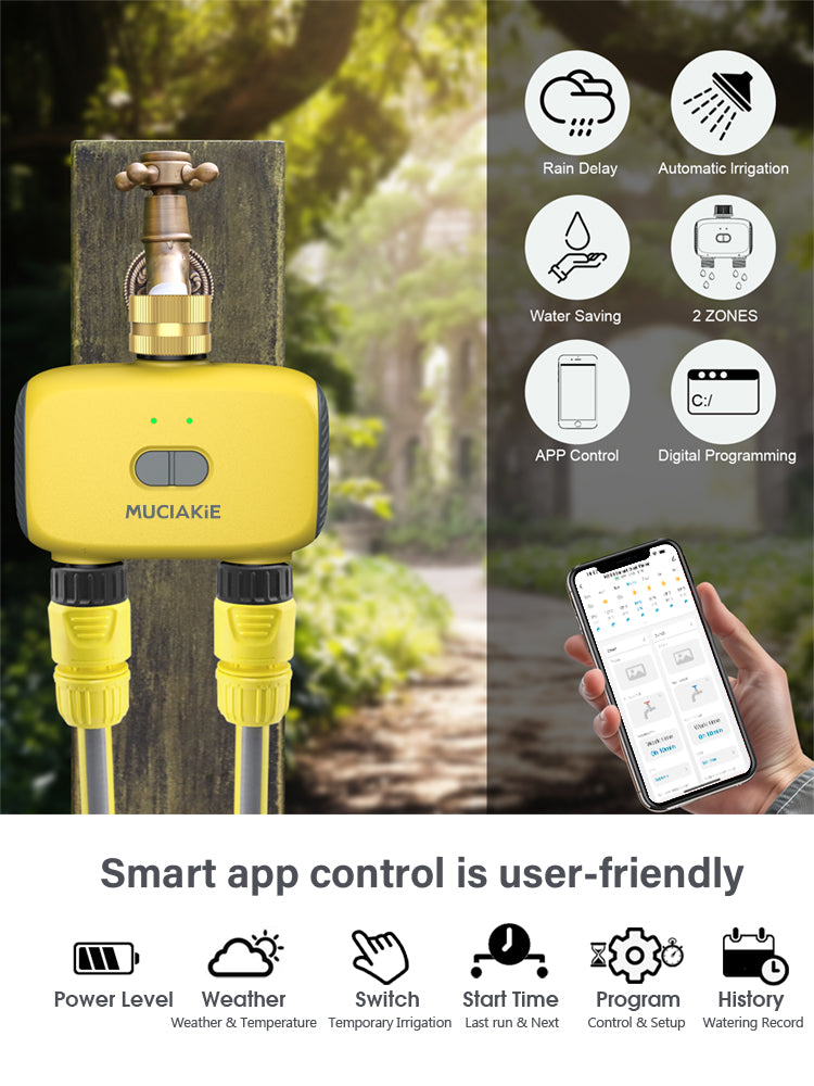 N368 Bluetooth Dual Timer