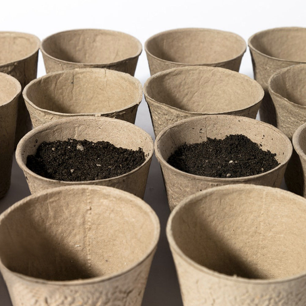 120x60MM Biodegradable Nursery Seedling Cups with Transparent Humidity Dome Cover