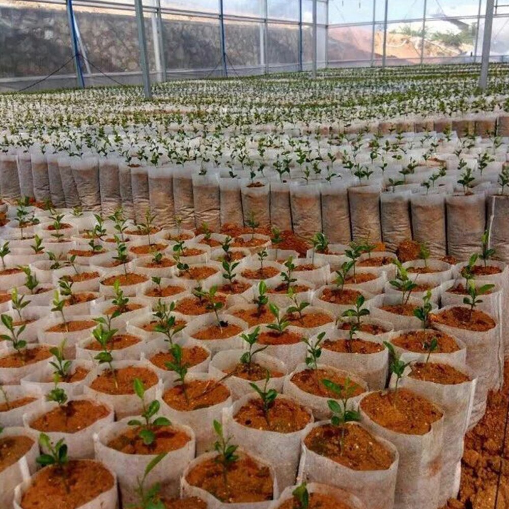 Degradable Nursery Bags
