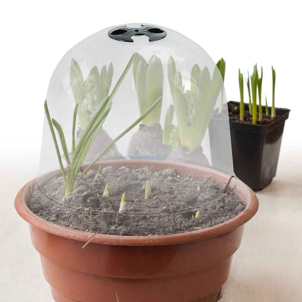 Muciakie® Garden Cloches, Set of 8