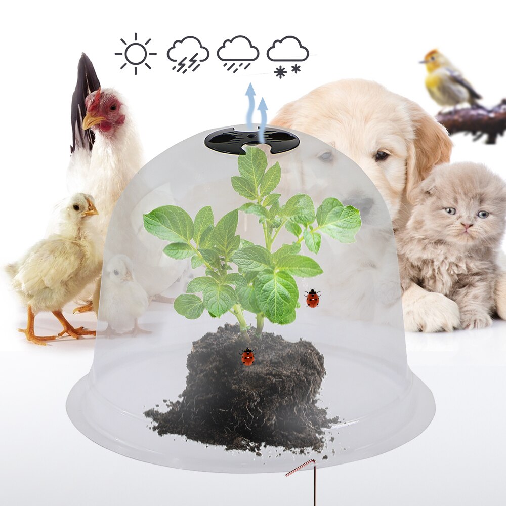 Muciakie® Garden Cloches, Set of 8