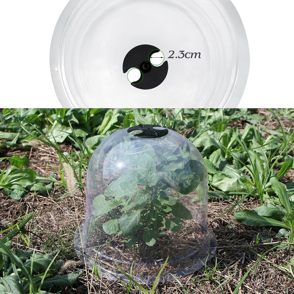 Muciakie® Garden Cloches, Set of 8