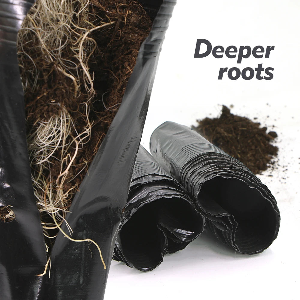 Plastic Deep Plant Nursery Pots, Pack of 50