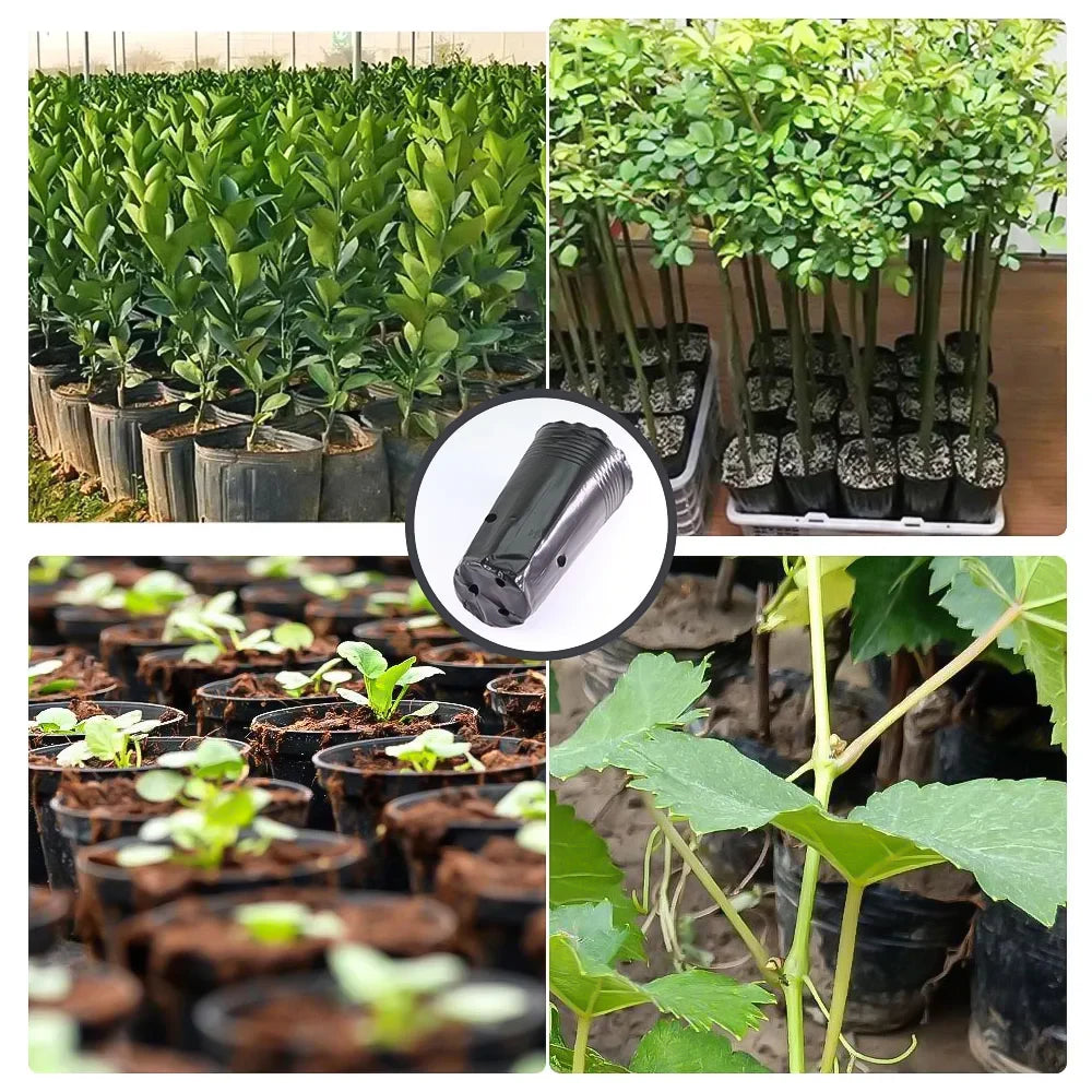 Plastic Deep Plant Nursery Pots, Pack of 50