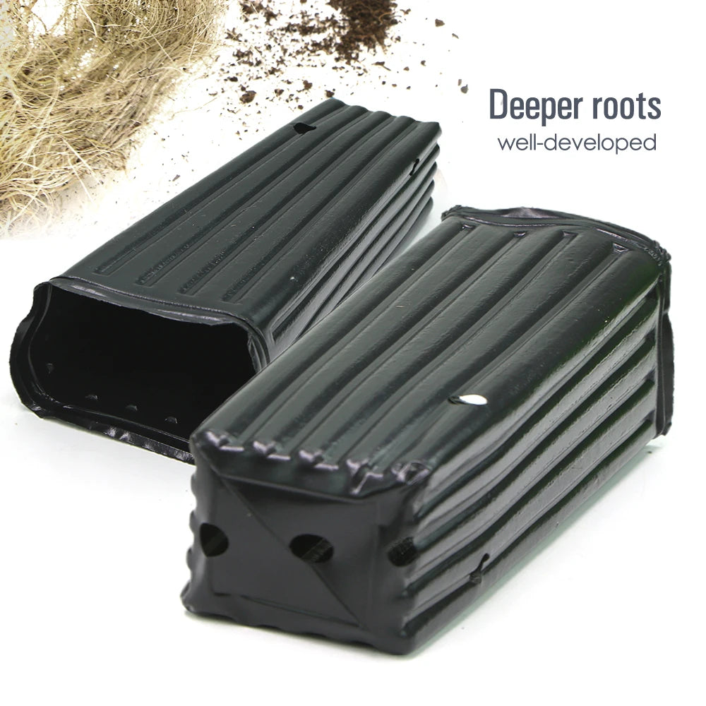 Plastic Deep Plant Nursery Pots Quadrate, Pack of 50