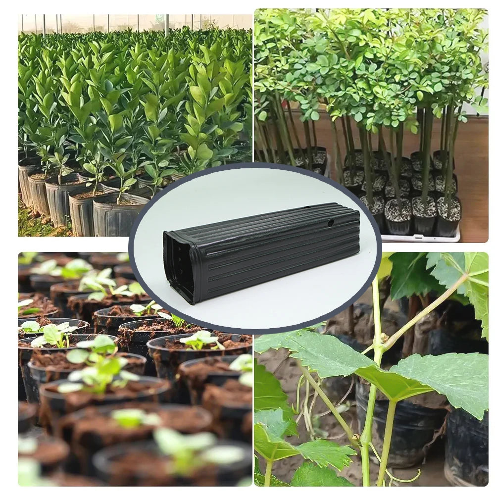 Plastic Deep Plant Nursery Pots Quadrate, Pack of 50