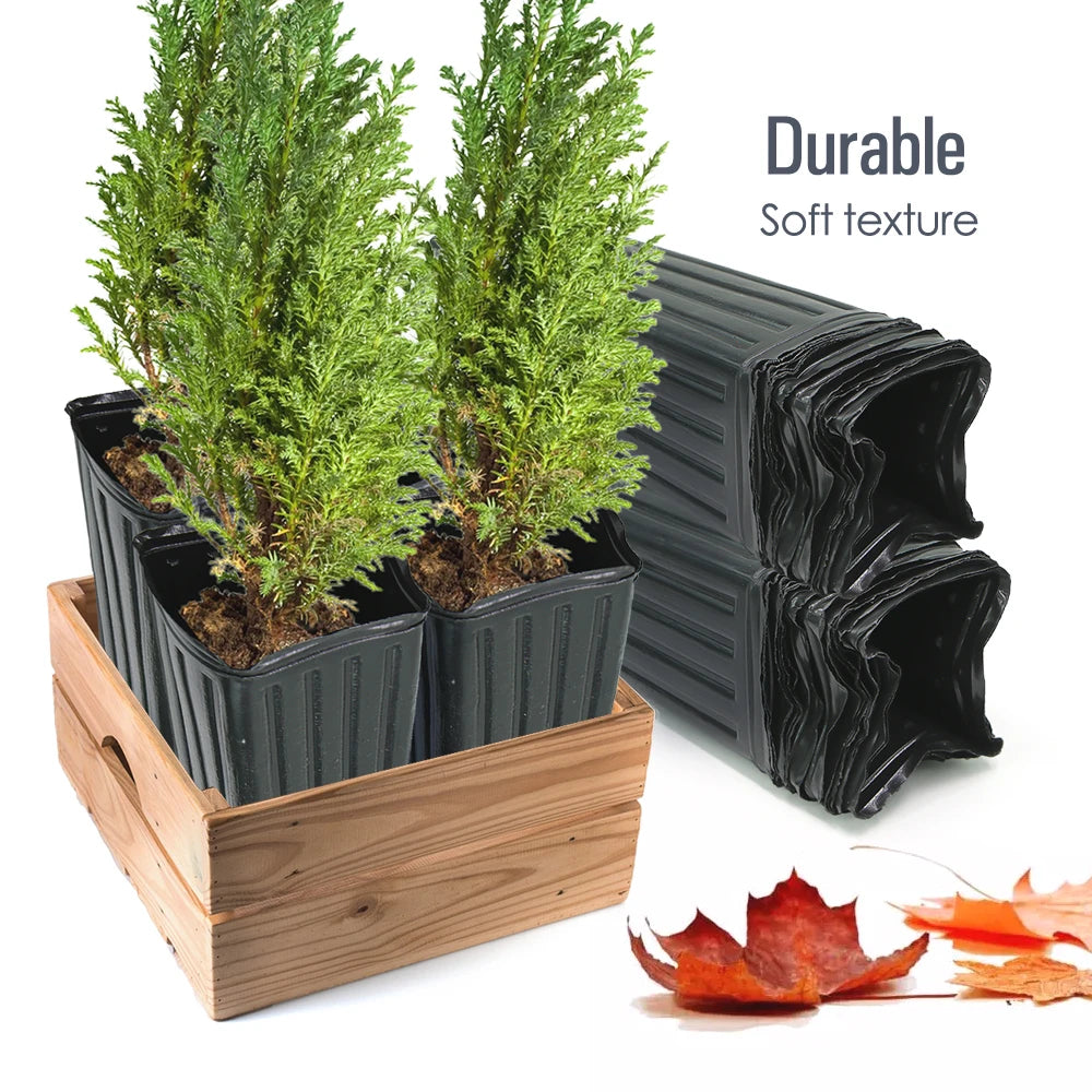 Plastic Deep Plant Nursery Pots Quadrate, Pack of 50