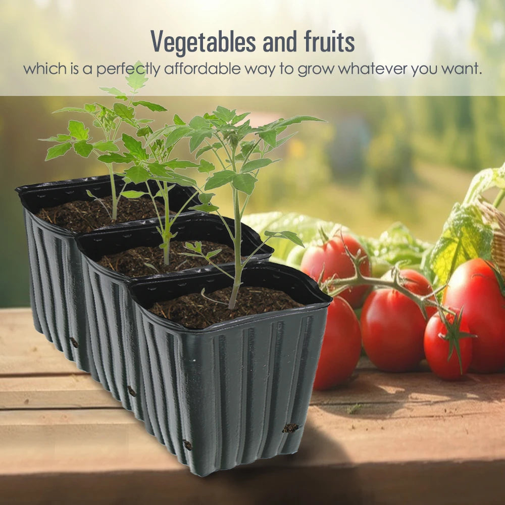 Plastic Deep Plant Nursery Pots Quadrate, Pack of 50