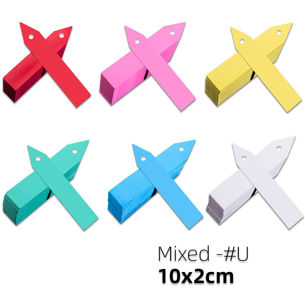 100PCS 10x2CM Plant Markers with Hole