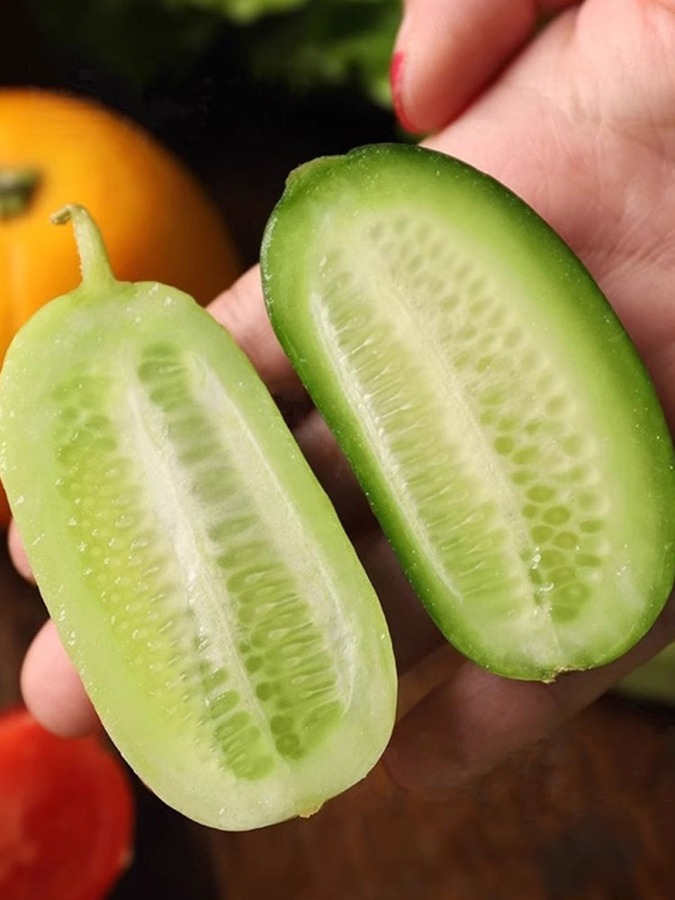Jintong & Yunü Mini Fruit Cucumbers