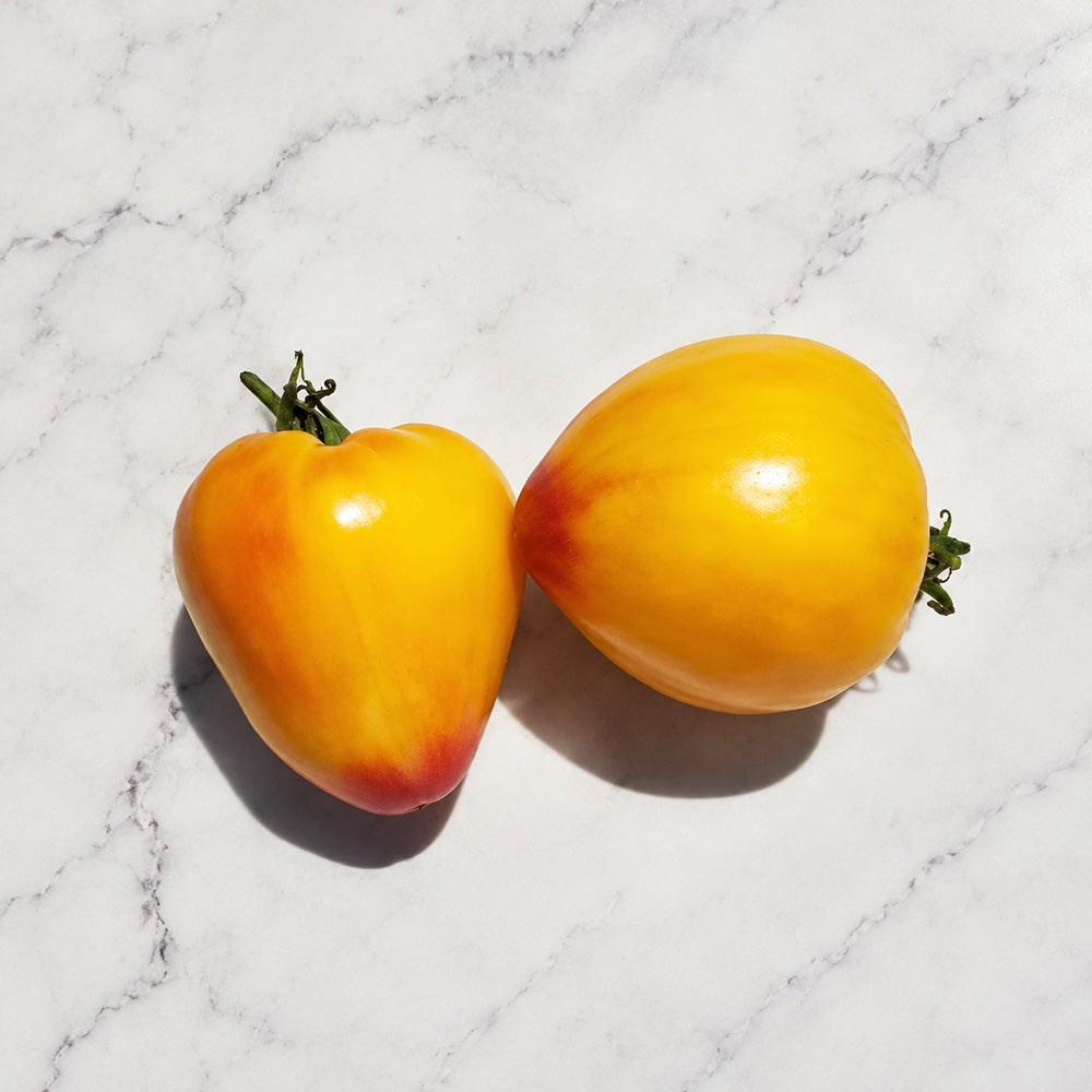 37 Grandmother's Greatness Tomato