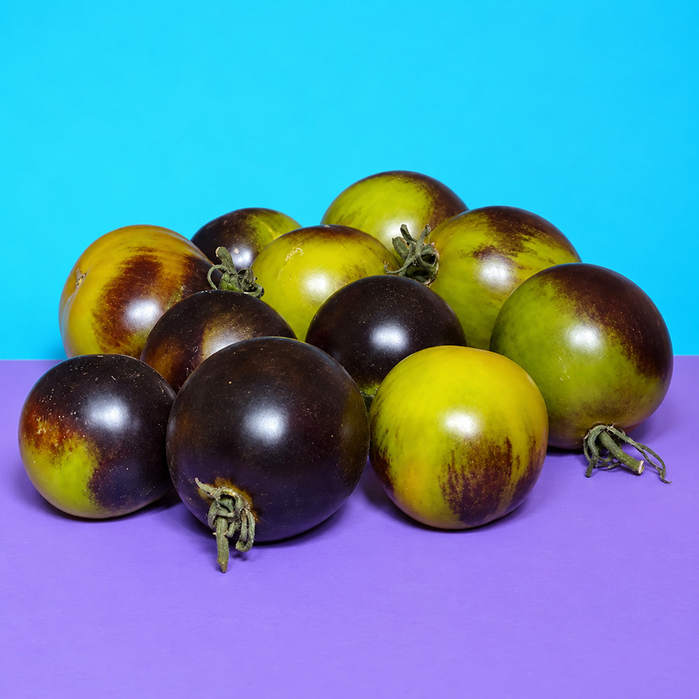 332 Black Bayou Tomato