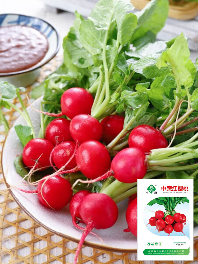 Cherry Radish