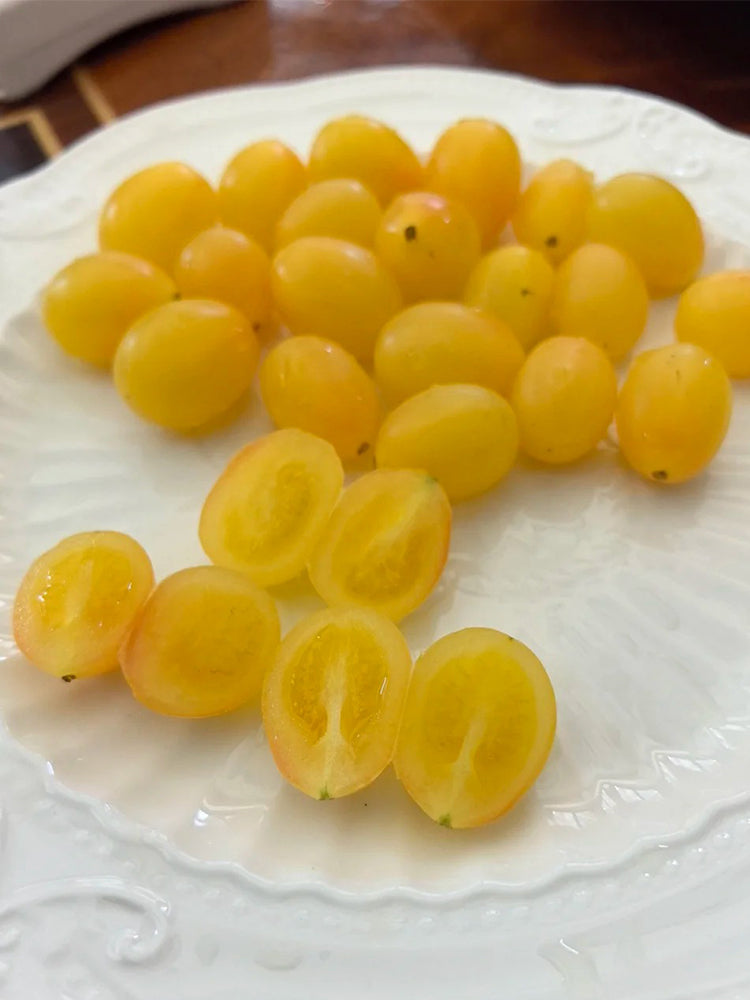 Eden No.1 Cherry Tomatoes