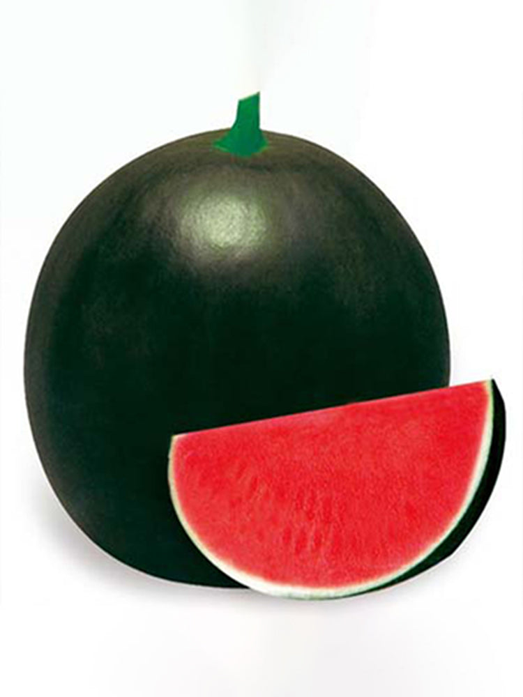 'Obsidian Sweet' Seedless Watermelon