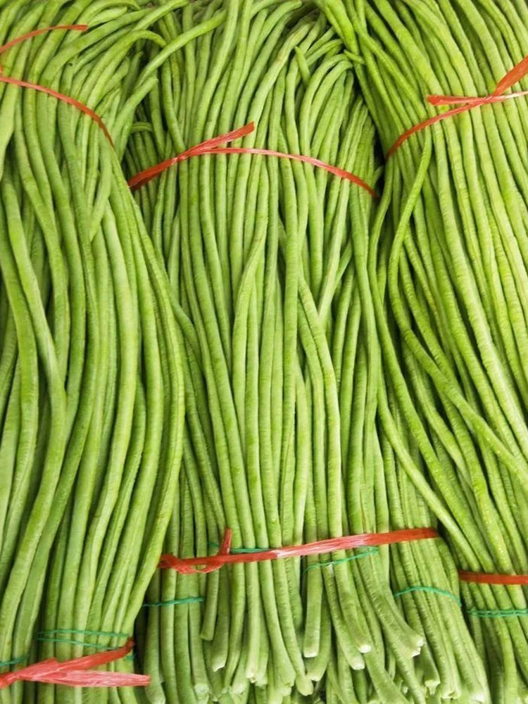 Yuyan Zaoguan Cowpea