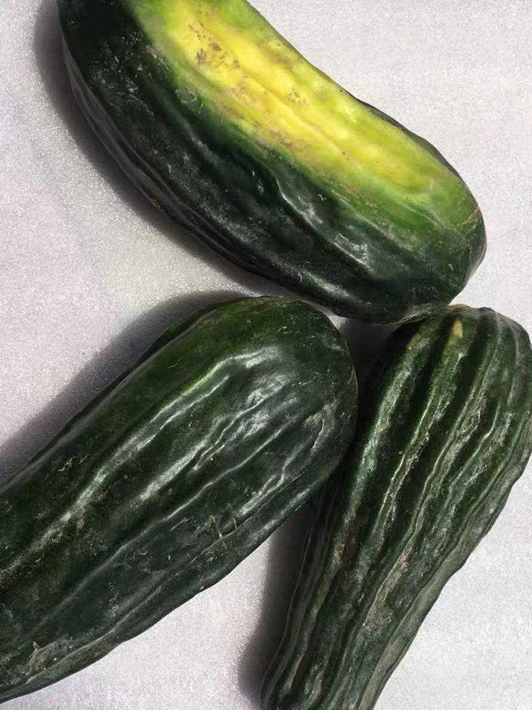 Black Ribbed Crisp Melon