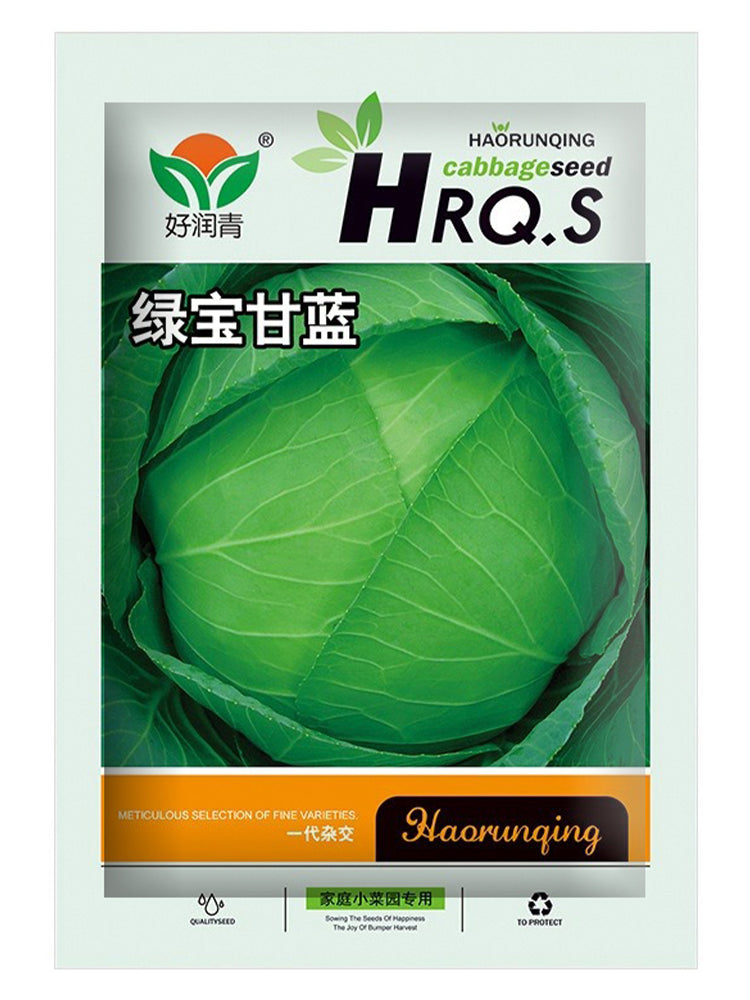 Green Treasure Cabbage