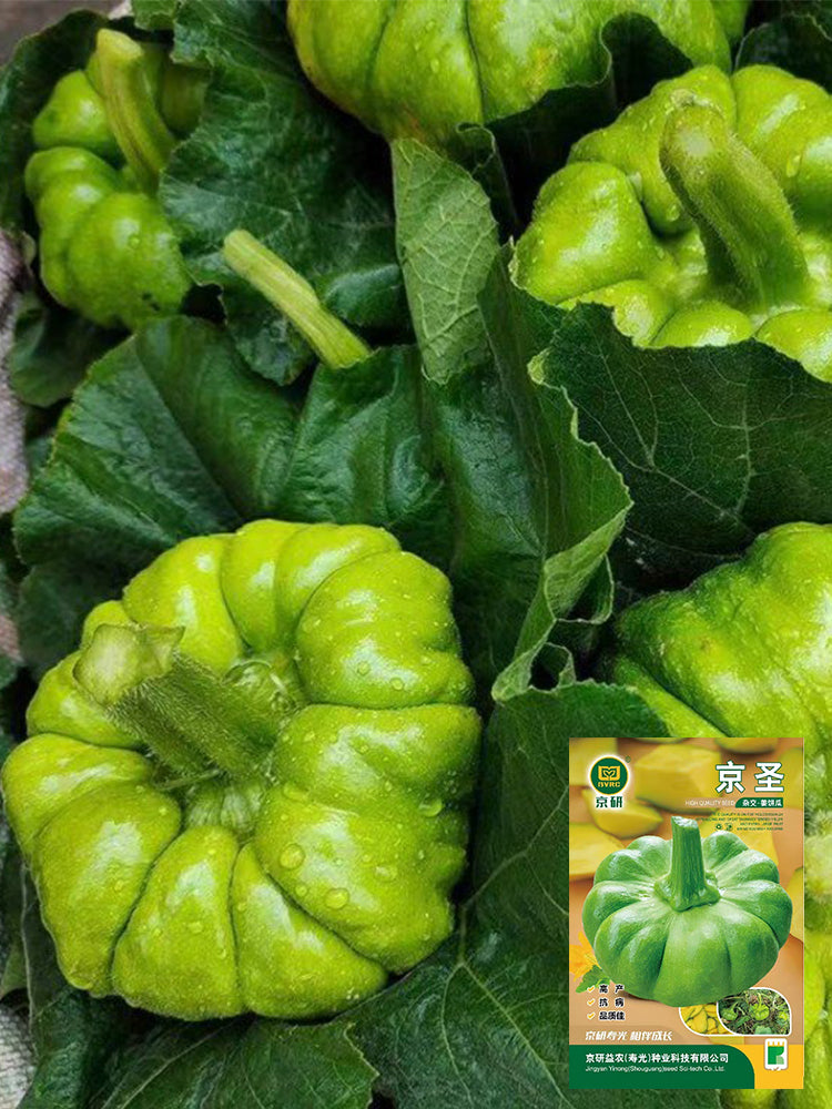 Jiangbing Pumpkin