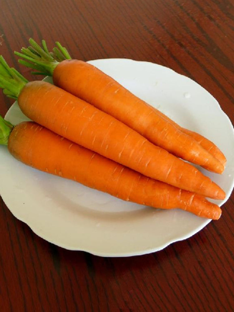 'Zhongyu 1870 F1' Carrot